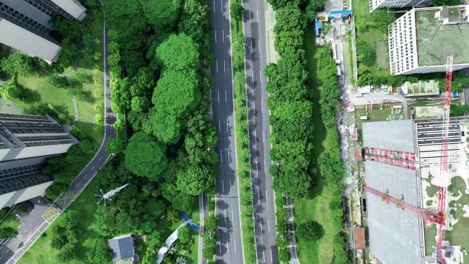 广州黄埔区九龙大道