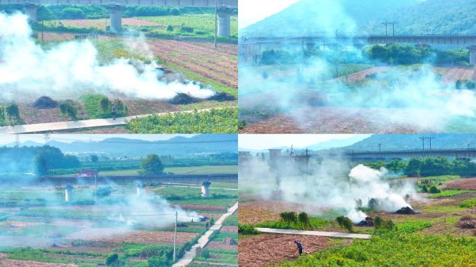 农村烧玉米秸秆焚烧环境污染