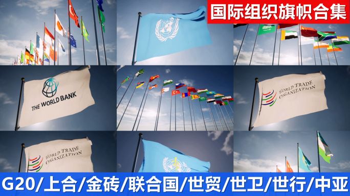 国际组织旗帜G20上合金砖国家联合国世贸