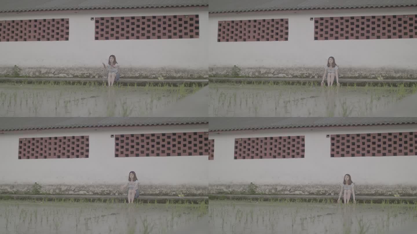 女孩乡村秧苗田间玩水欣赏秧苗风景灰片