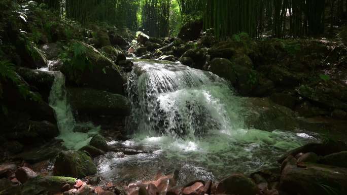 竹林阳光小溪山泉自然风景视频素材