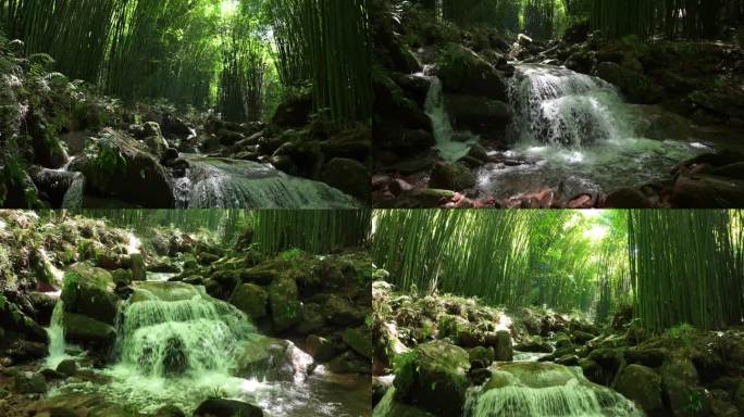 竹林阳光小溪山泉自然风景视频素材