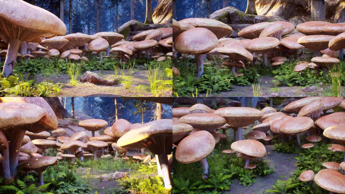 梦幻蘑菇林