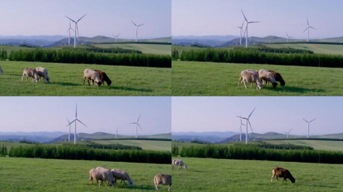 草原上的风电场