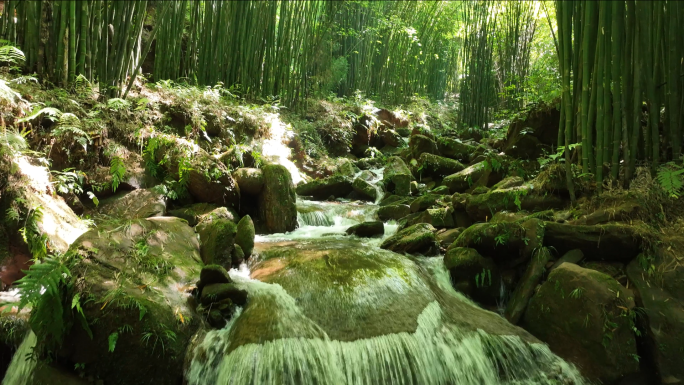 竹林阳光小溪山泉自然风景视频素材