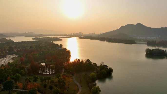 航拍杭州湘湖 夕阳 红叶 层林浸染