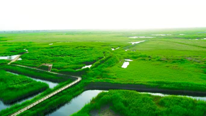 大自然草地 湿地 自然保护区 绿水青山