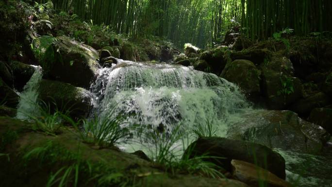 竹林阳光小溪山泉自然风景视频素材