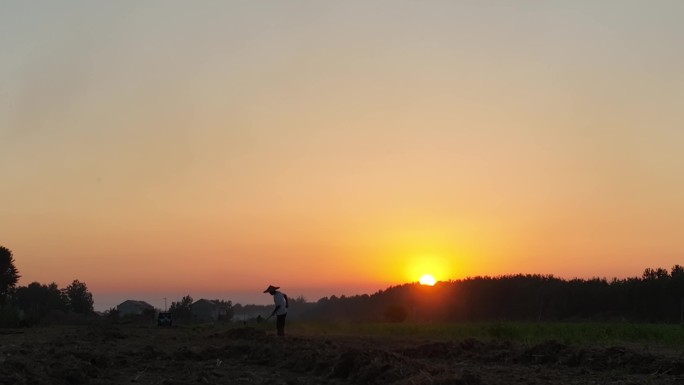 夕阳下辛勤劳动的农民