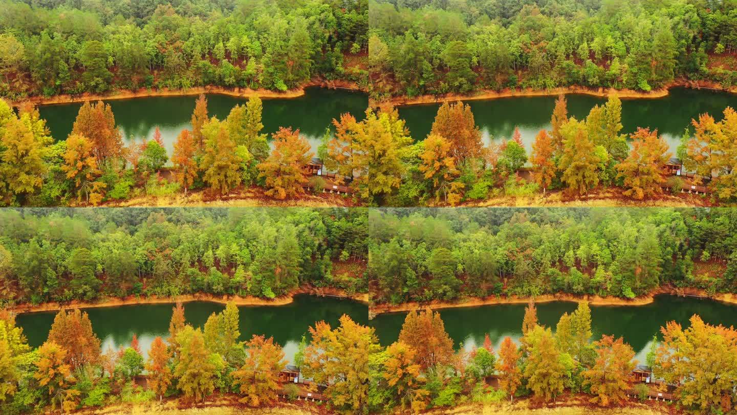 赣州崇义阳明湖生态湿地公园秋季
