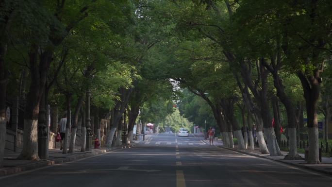 八大关马路，斑马线