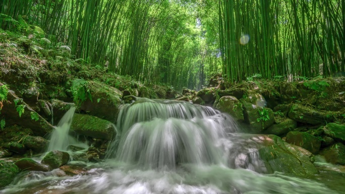 竹林阳光小溪山泉自然风景延时视频素材