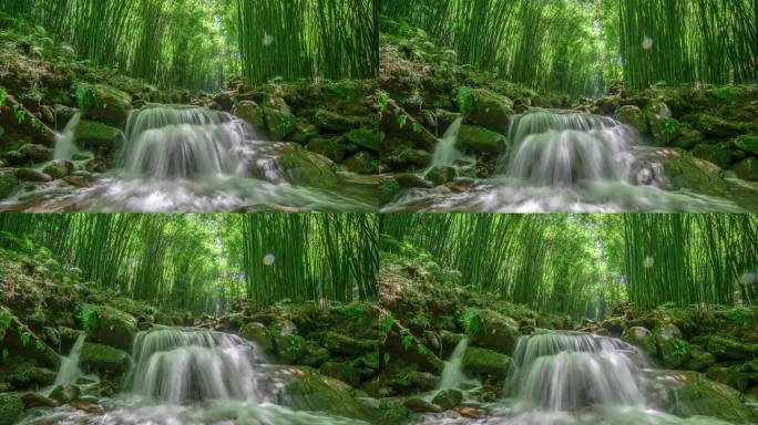 竹林阳光小溪山泉自然风景延时视频素材
