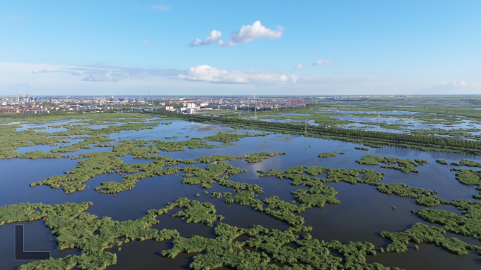 城市湿地