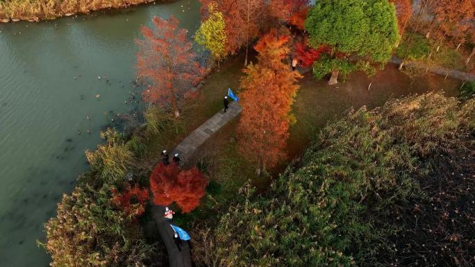 俯拍航拍杭州湘湖大自然秋天