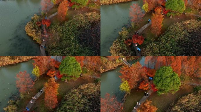俯拍航拍杭州湘湖大自然秋天