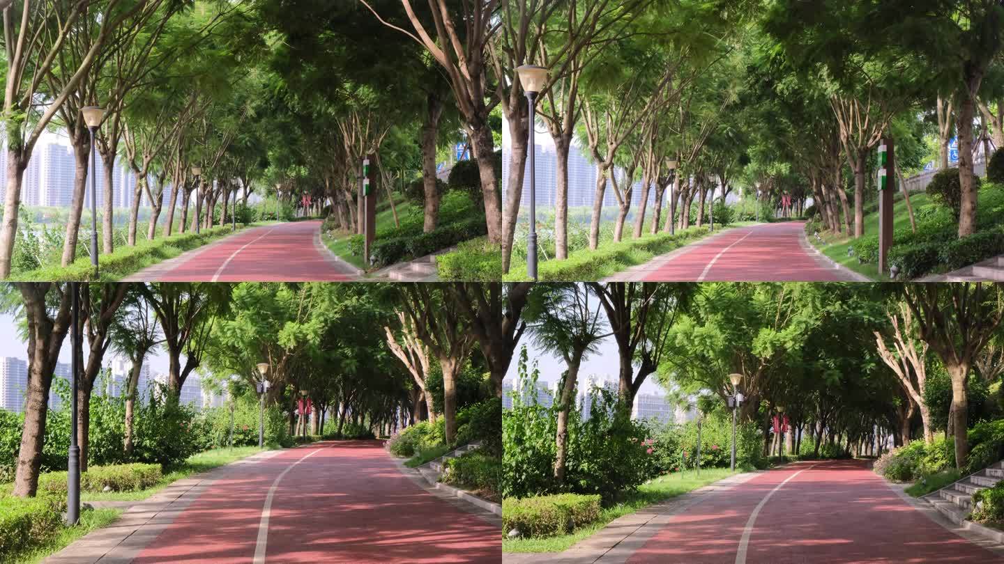 江边林荫步道