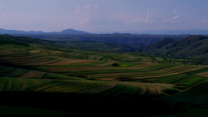 希望的田野