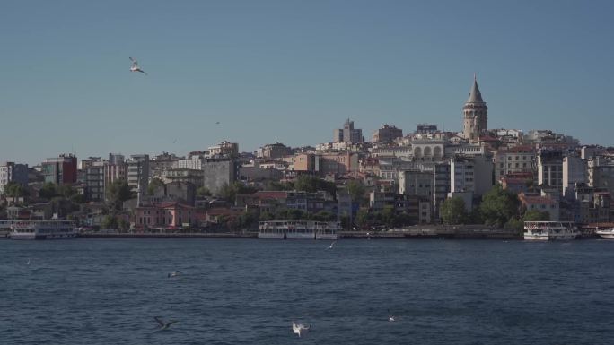 0111高清4k土耳其伊斯坦布尔塔海鸥船