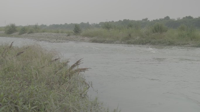 乡村河溪边玩水欣赏田间风景灰片