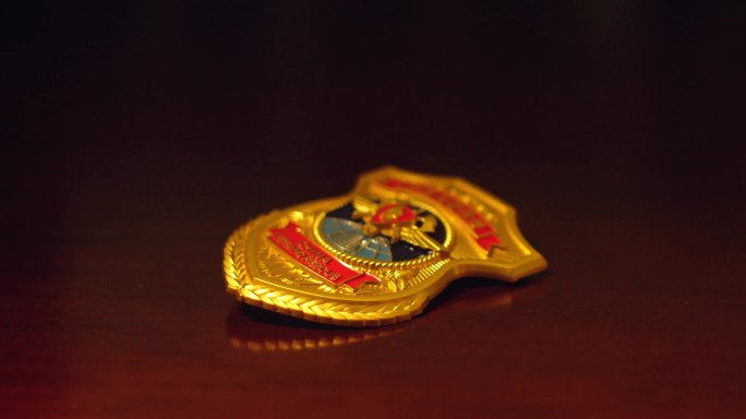 中国消防救援民警徽章队徽胸辉