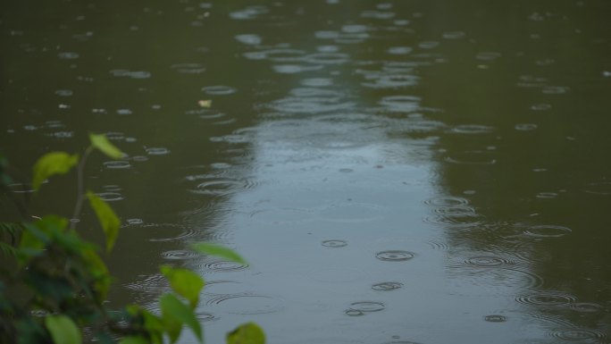 小雨