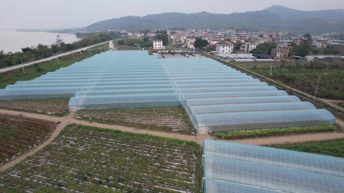 漳州市龙文区口社村田园航拍