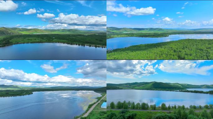 内蒙古草原呼伦贝尔桦树林自然湖泊绿水青山