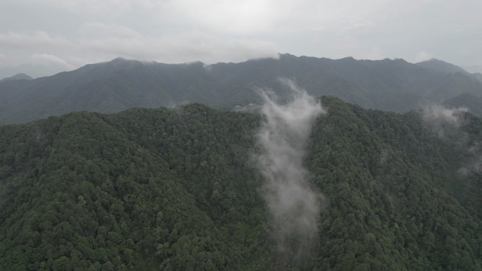 广阔的山脉 云雾飘渺 4k原素材