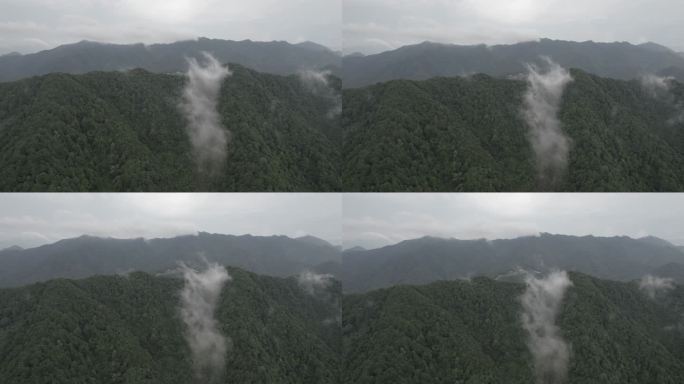 广阔的山脉 云雾飘渺 4k原素材