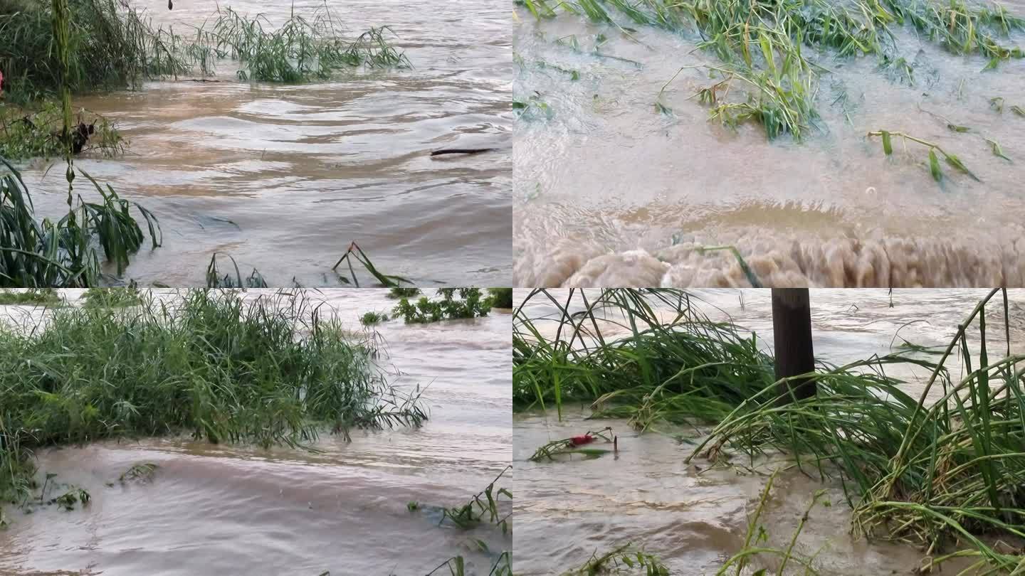 洪水浪花洪水浊水强降雨洪灾后暴雨淹没河面