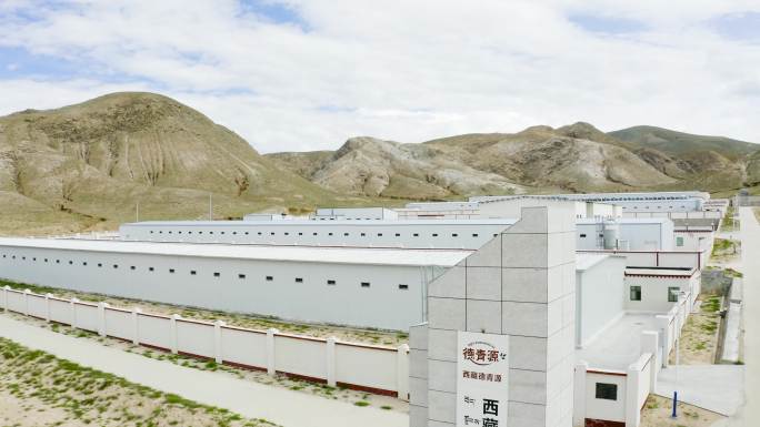 西藏藏鸡 保护保种开发基地