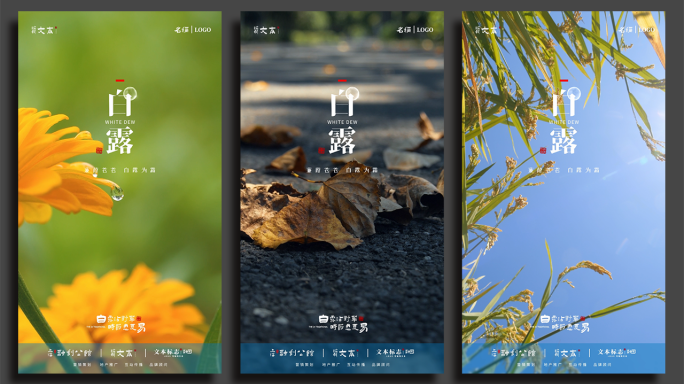 【原创拍摄可商用】创意白露 节气AE模板