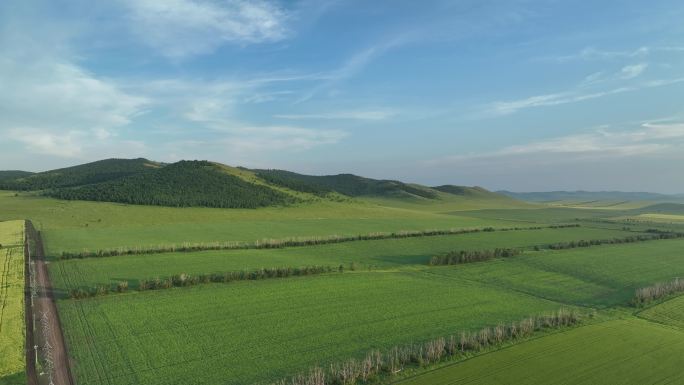 航拍垦区夏日田野风光