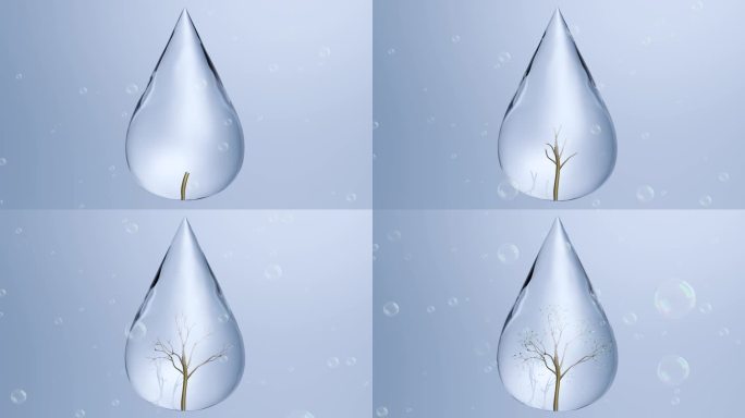一滴水生命之源植物生长孕育生命