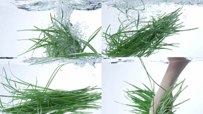 4K-韭菜下水落水水下升格慢动作