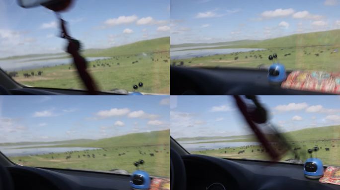 草原汽车行驶蓝天白云牦牛羊群颠簸前挡玻璃