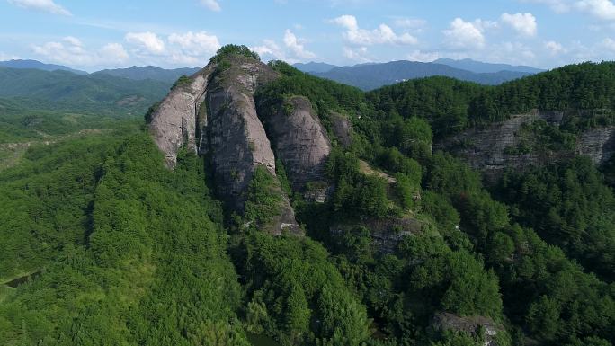 福建龙岩 青山山尖 近景推进 满山青松