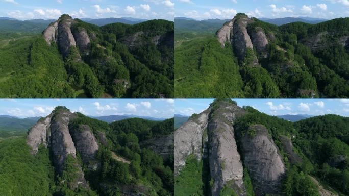 福建龙岩 青山山尖 近景推进 满山青松