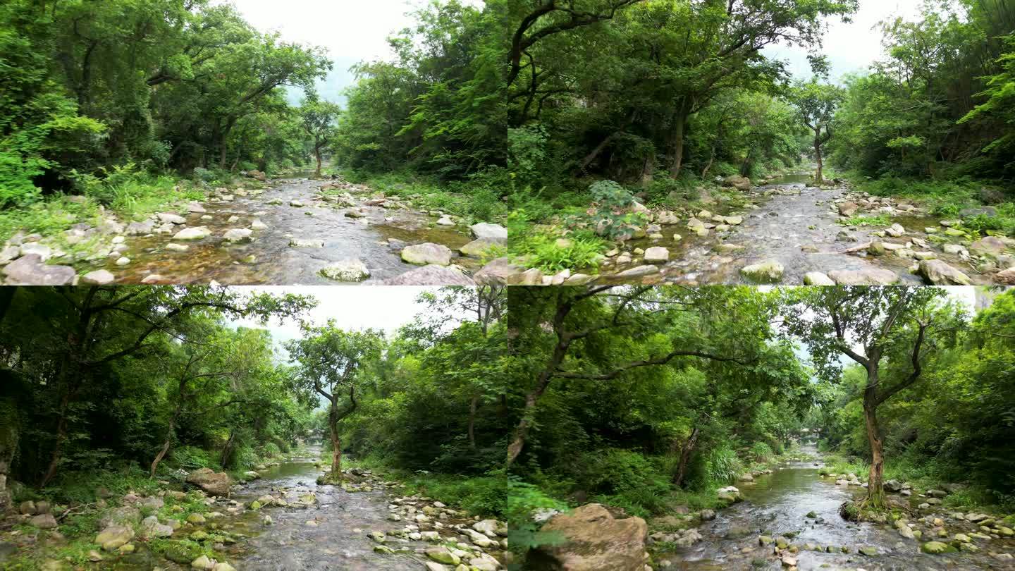 乱石丛生的山中小溪航拍 自然景色
