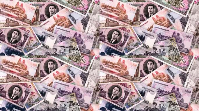 朝鲜元法定货币纸币金融财富