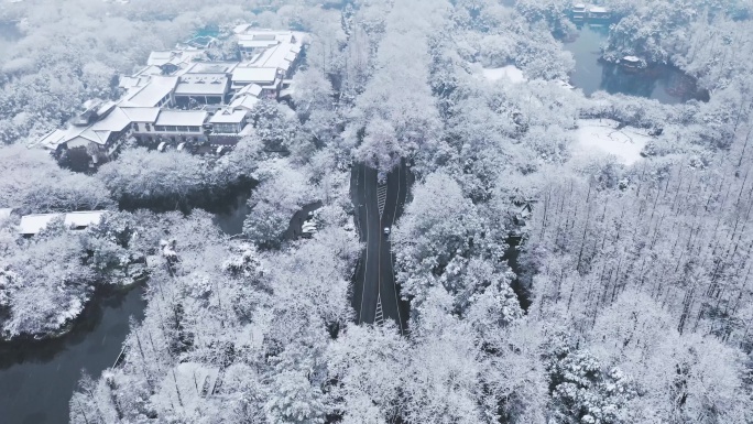 西湖杨公堤雪景