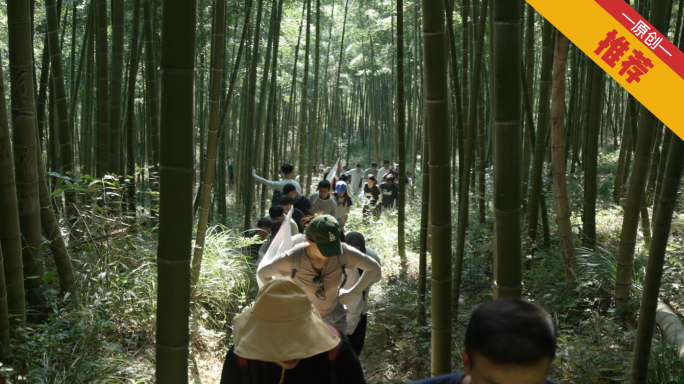 爬山徒步穿越竹林