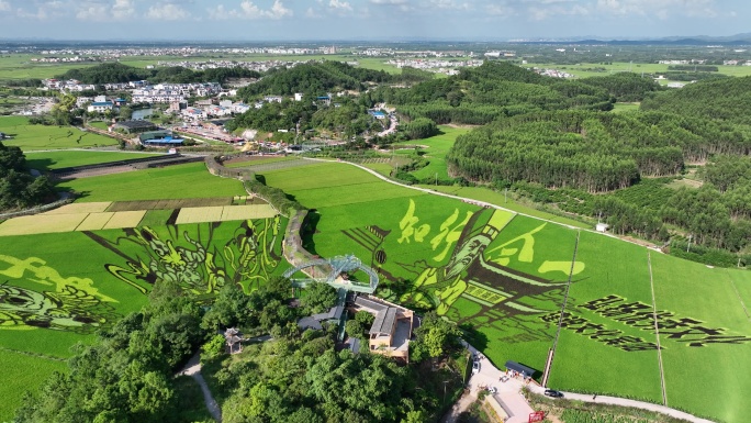 南宁宾阳古辣稻田艺术景区8