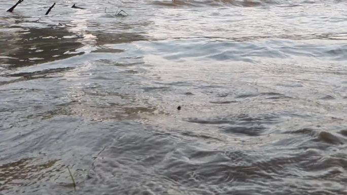 洪水浪花河水暴涨黄河水浪洪水浊水河水上涨