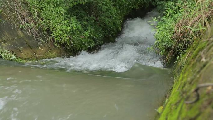 C成都湿地青城山泉水高清实拍视频