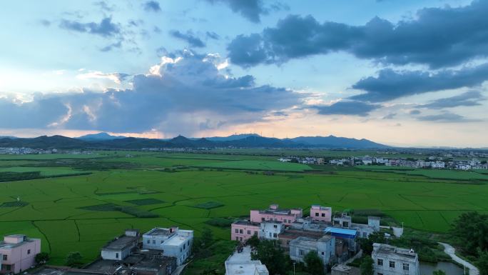 南宁宾阳古辣稻田风车夕阳美景2