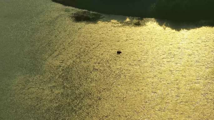 波光粼粼金色水面湖面黄昏波光