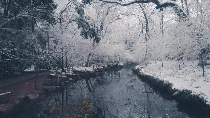 杭州九溪雪景