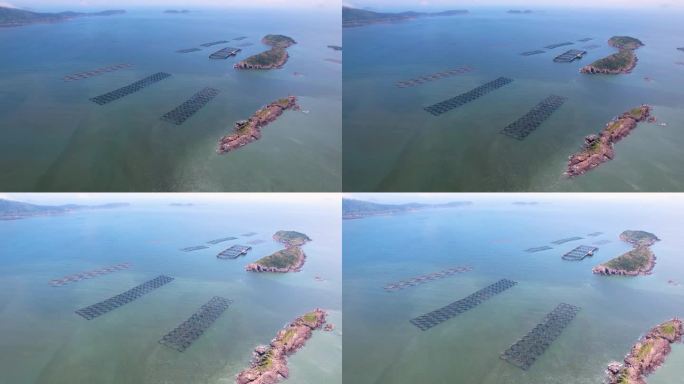 台州大陈岛海上网箱海水养殖